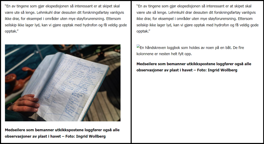 To skjermbilder av samme nettside, med og uten et bilde lastet inn. Der bildet ikke er lastet inn er det erstattet av en alt-tekst. 